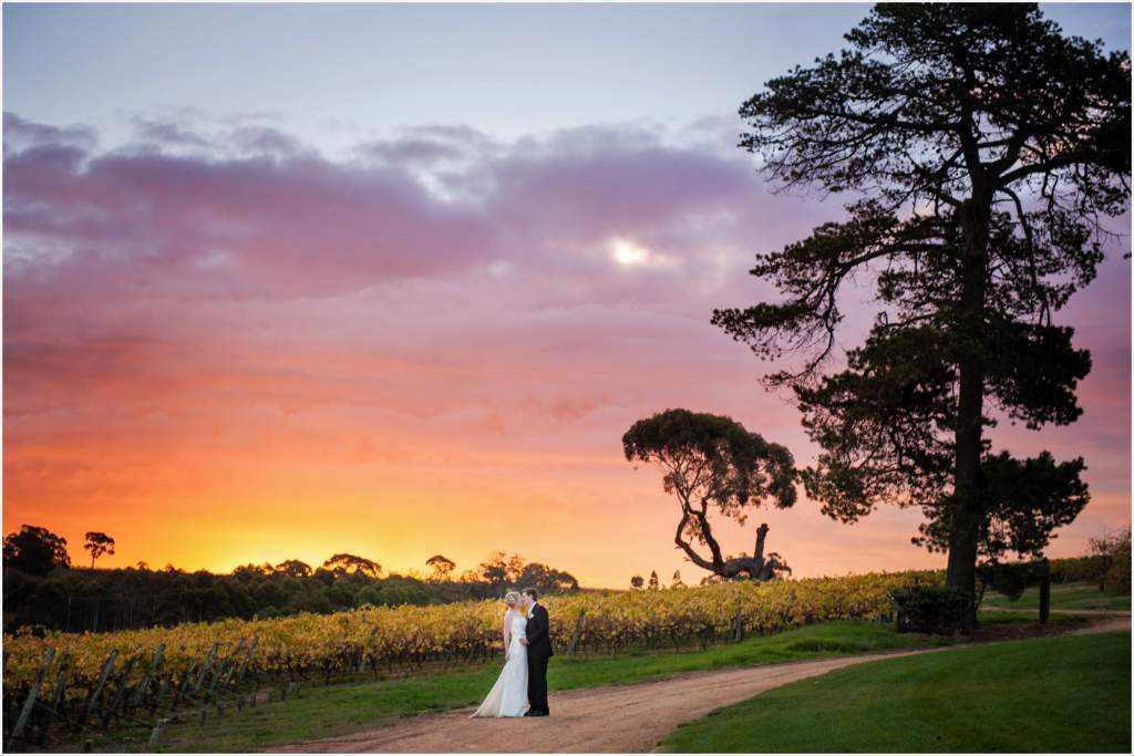  Adelaide Wedding Venues of all time Learn more here 