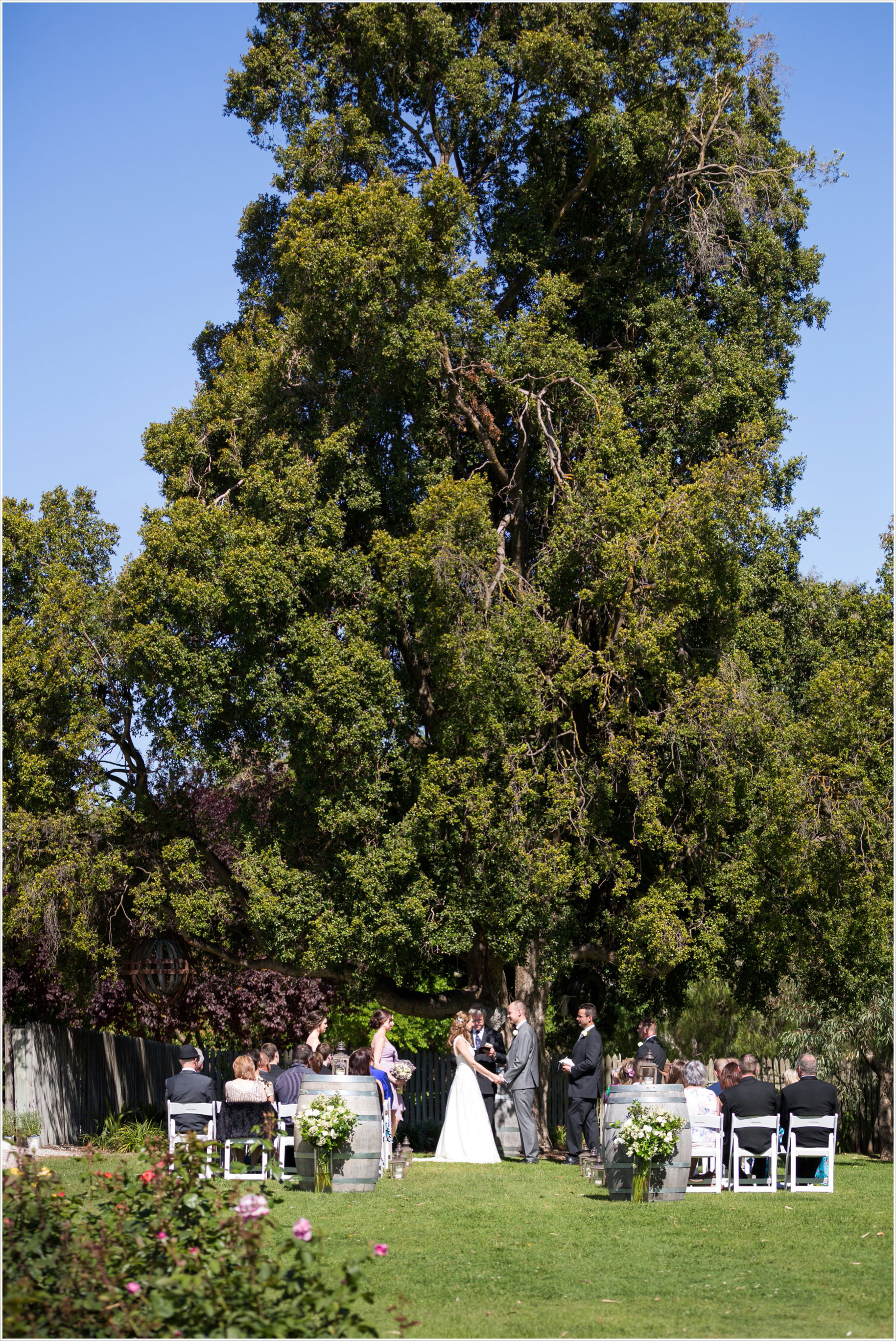 saltram winery barossa ceremony wedding lavender photos