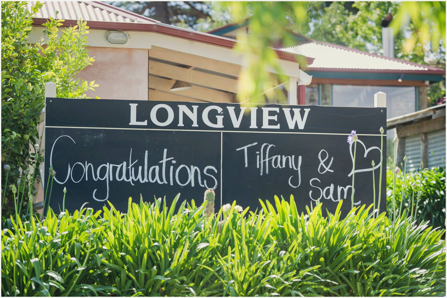 longview winery wedding photos