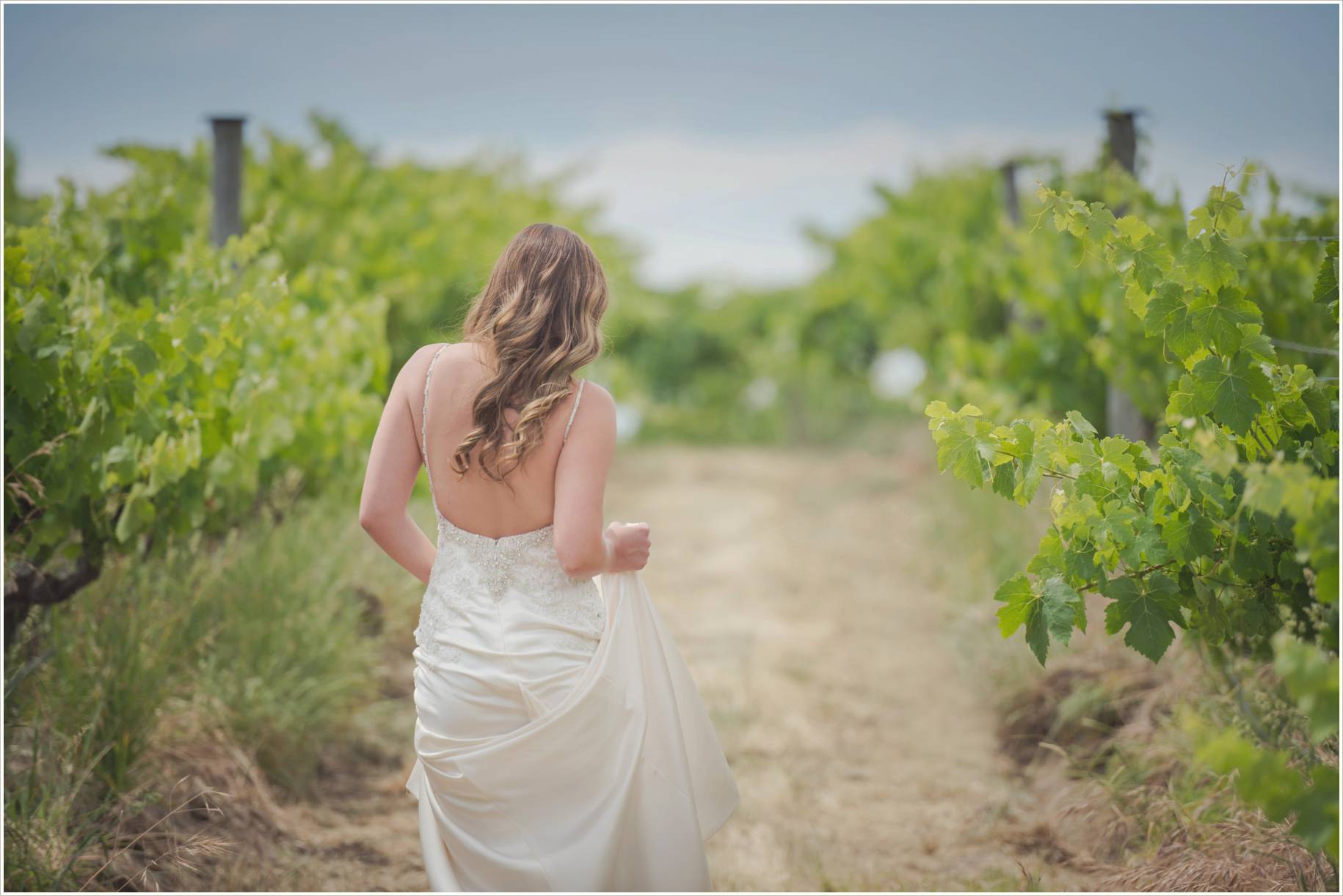 wirra wirra winery mclaren vale wedding