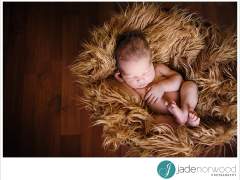 Barossa Newborn Photographer | Nathalie, Mark and Max