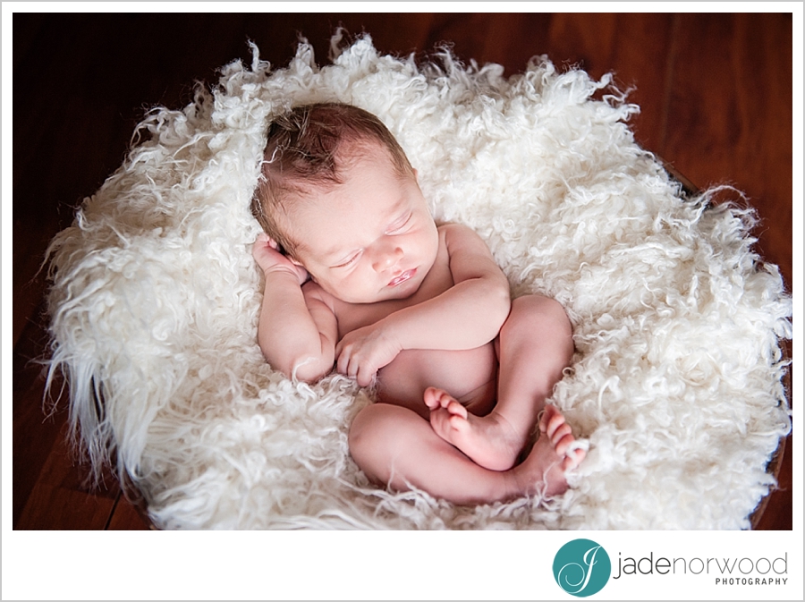 Adelaide newborn photographers