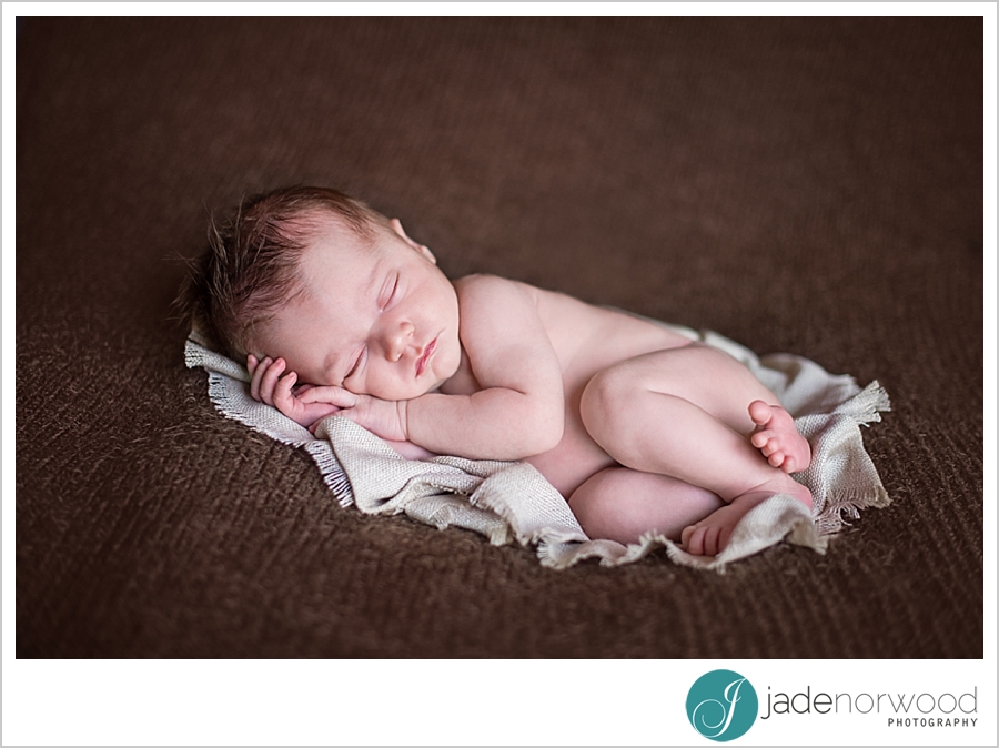 newborn photographer adelaide