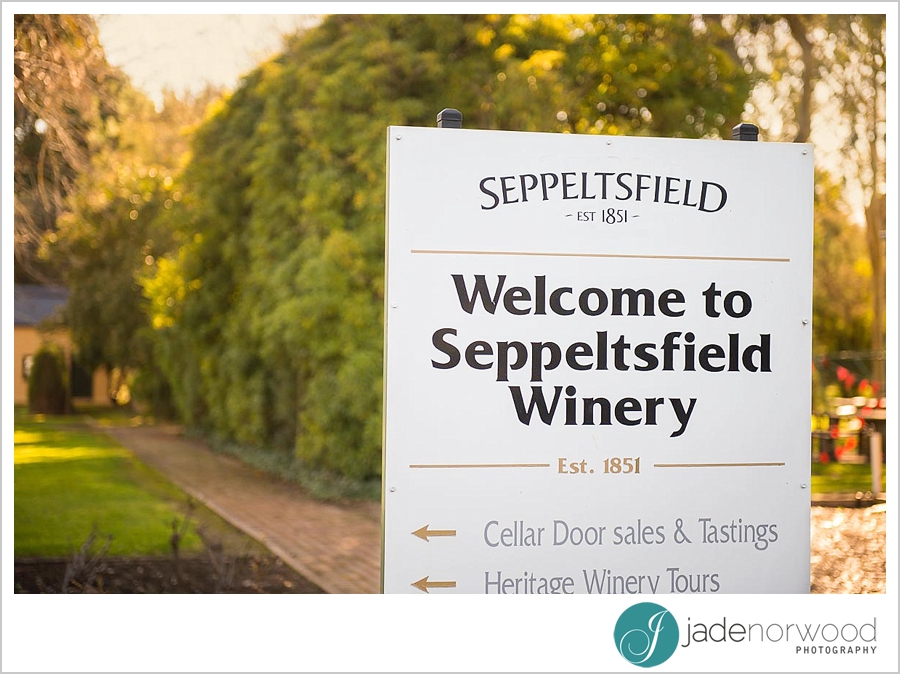 seppeltsfield-winery-barossa-wedding-venue-photo