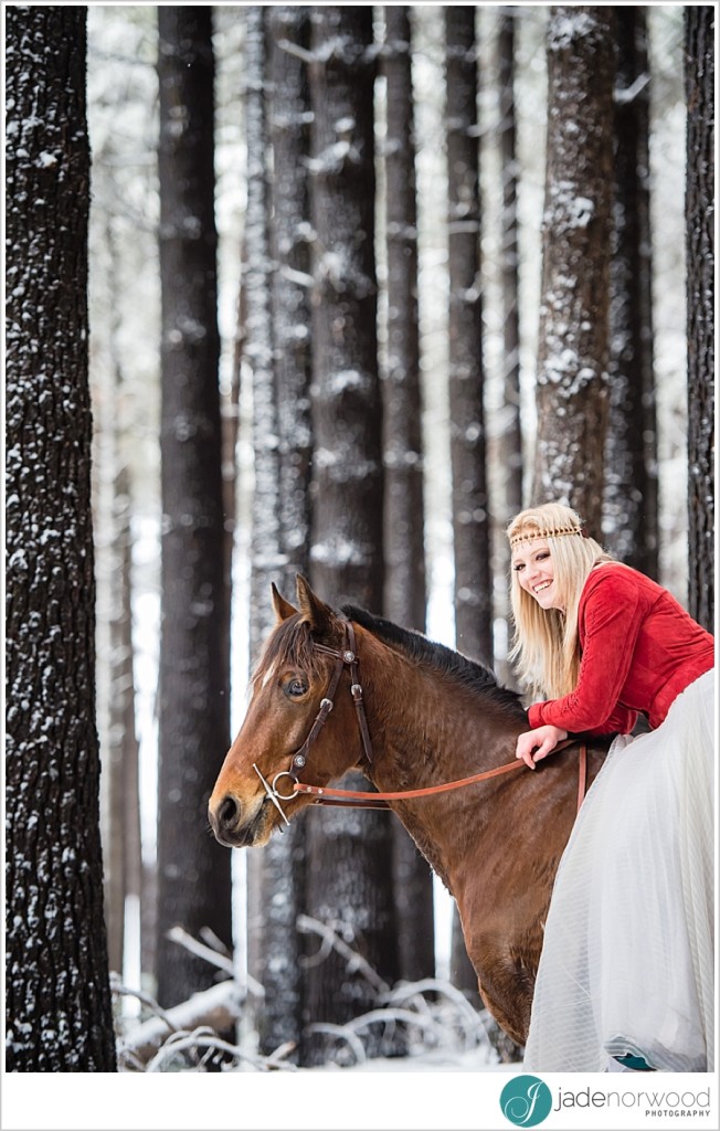 equine photographer horse portrait photos