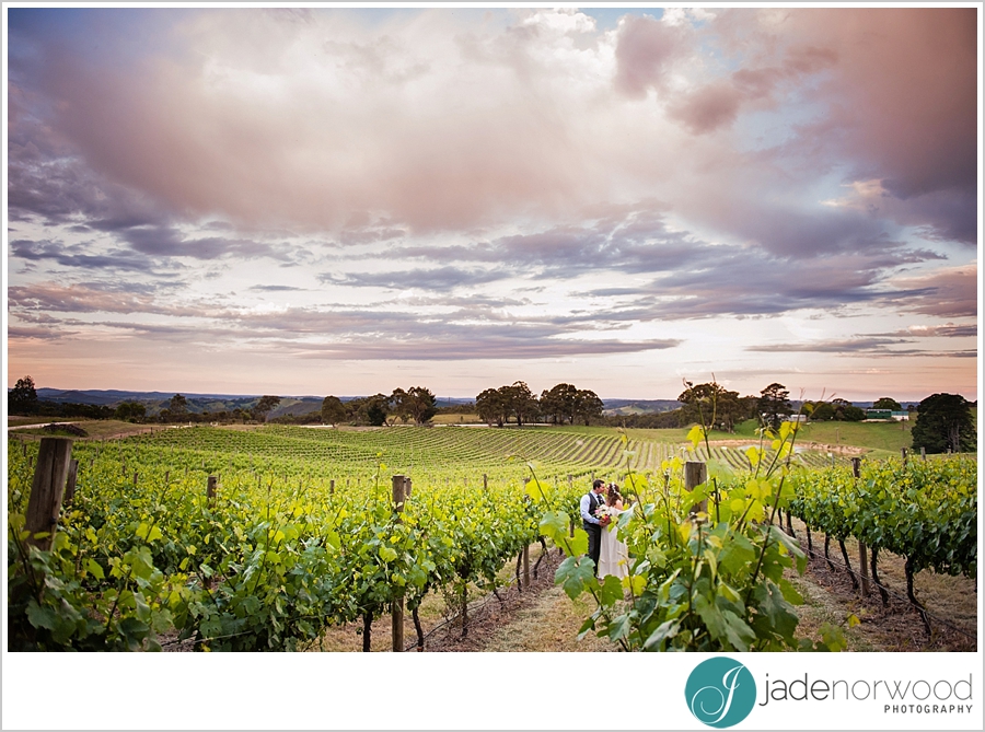 adelaide hills winery wedding venues