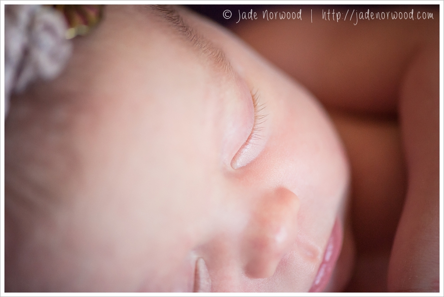 baby girl newborn photos purple
