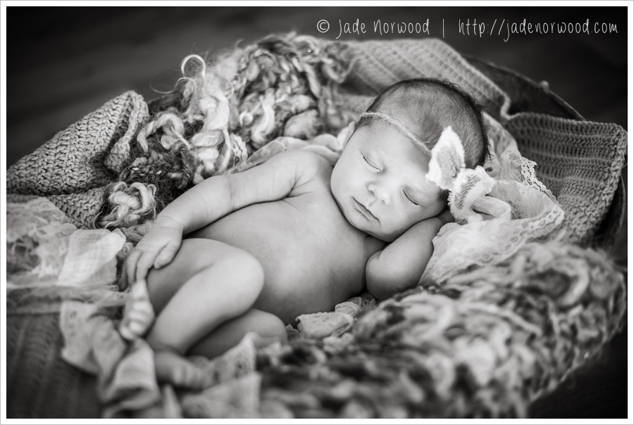baby girl newborn photos purple