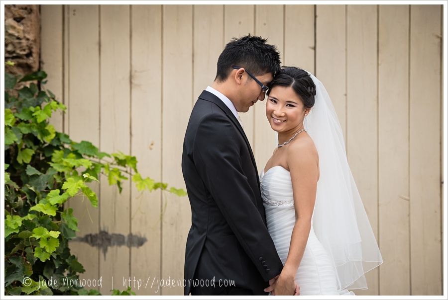 pre wedding photos chinese mclaren vale photos