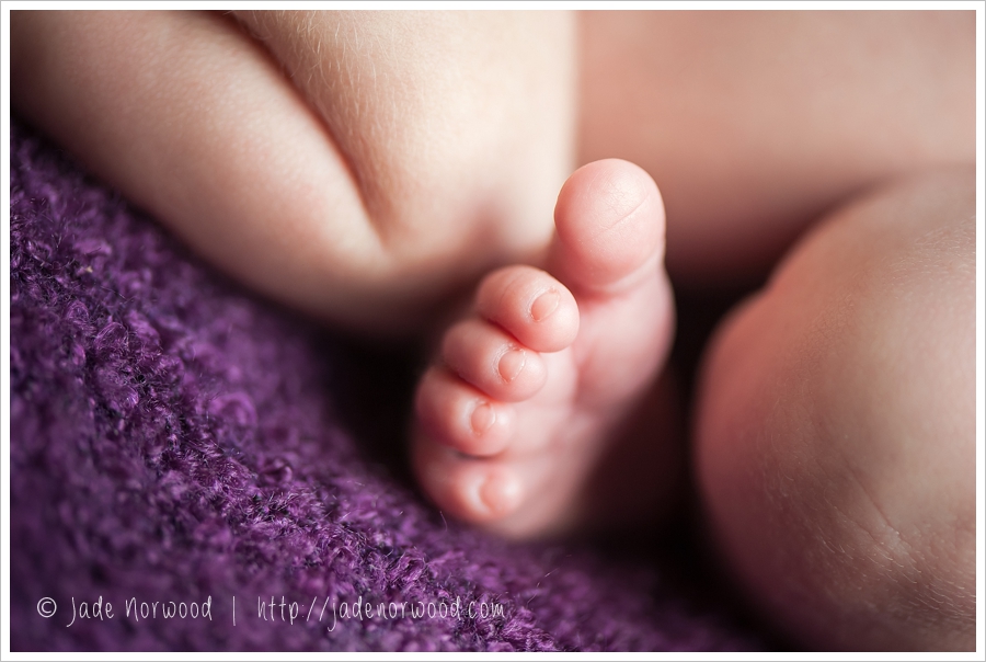 maternity newborn photos