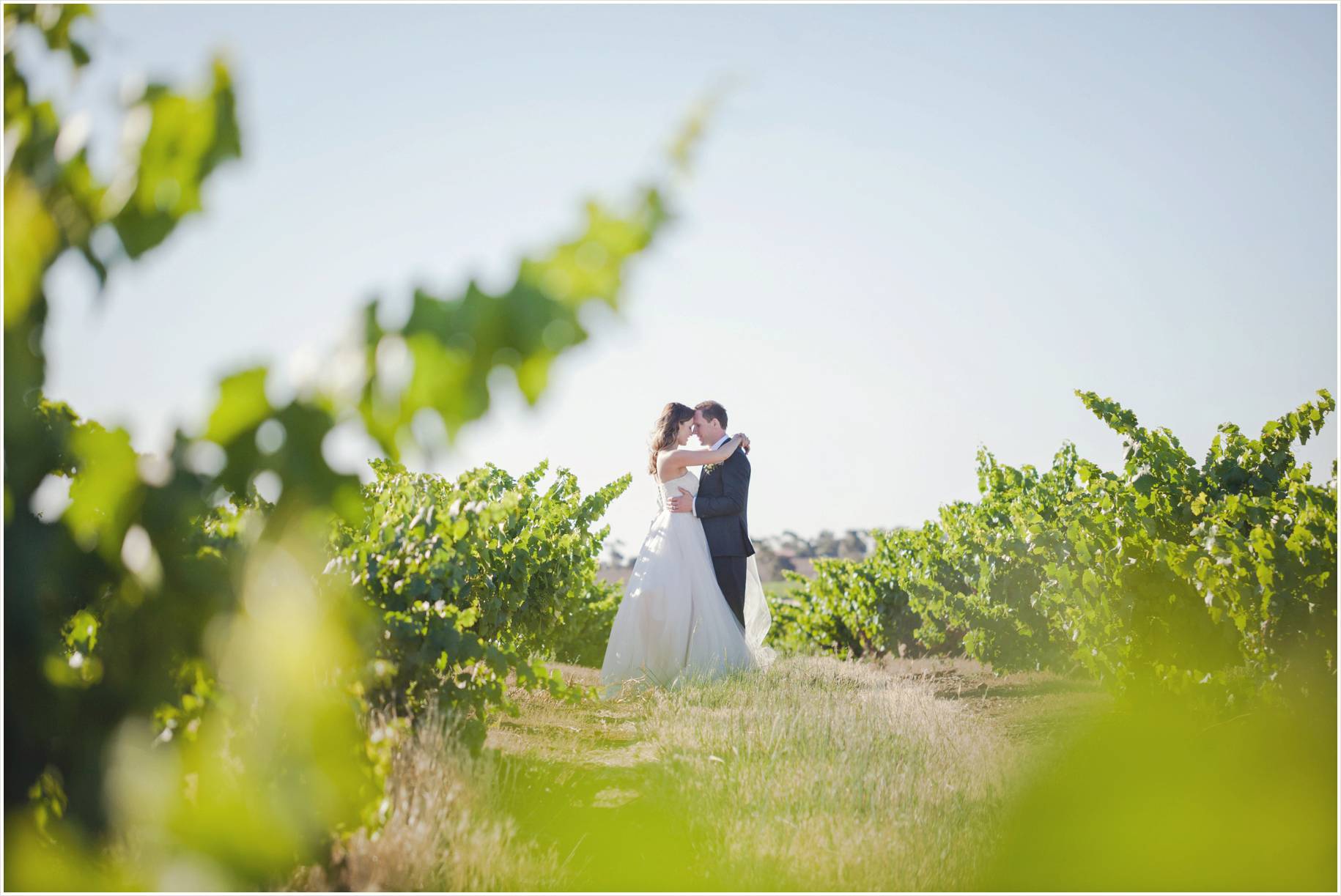 seppeltsfield winery barossa valley wedding photos